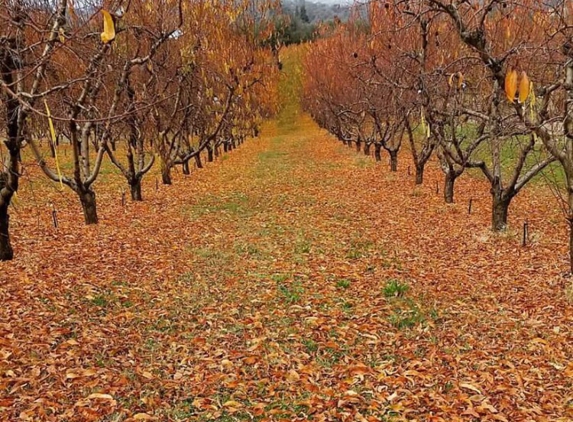 Twin Peaks Orchard - Newcastle, CA