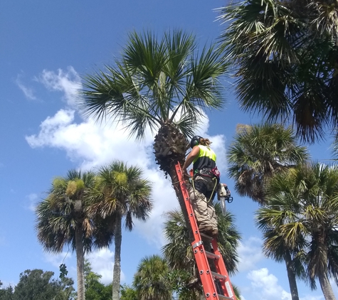 Redwine's Tree Service - Merritt Island, FL