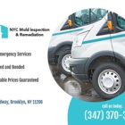NYC Mold Inspection & Remediation