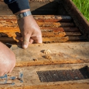 Eastern Termite & Pest Control Co - Pest Control Equipment & Supplies