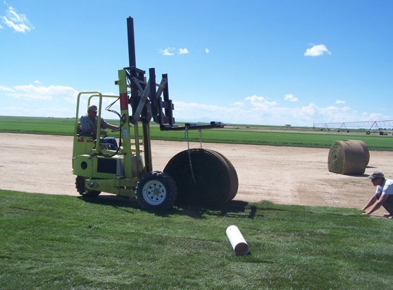 High Mesa Sod Farm - Rush, CO