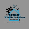 Stellar Wildlife Solutions gallery