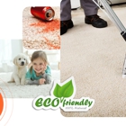 Stafford Carpet Cleaning