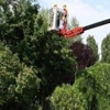 EcoPro Outdoor Solutions | Bradenton Tree Services gallery