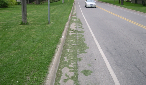 Schulers Lawn Care - Lisle, IL. didnt blow off street