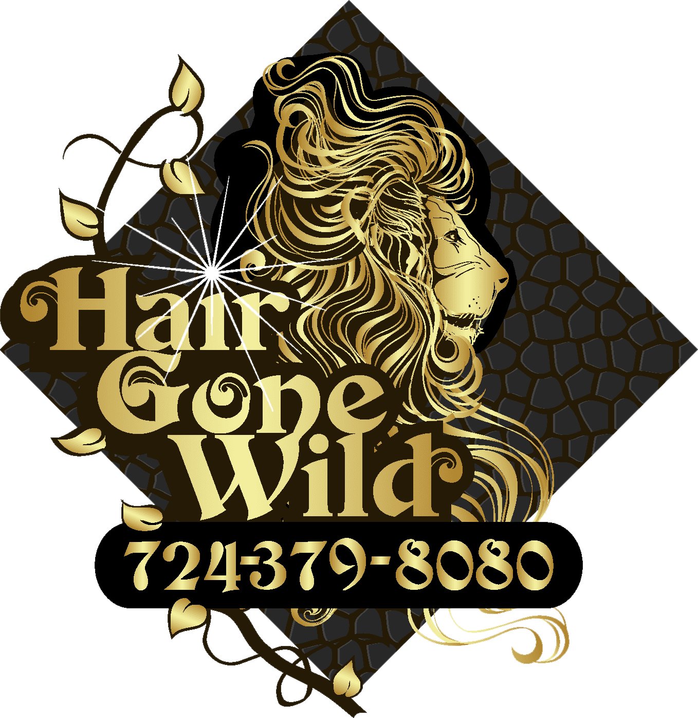 Hair Gone Wild 4965 State Route 51 N Belle Vernon Pa 15012