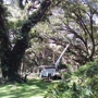 Century Tree and Mulching Service