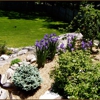 Perennia Landscaping gallery