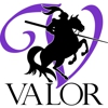 Valor Mold Removal gallery