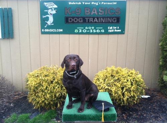 K9 Basics - Top Dog Training in Marlton - Marlton, NJ