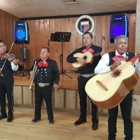 Mariachi Mexico Nuevo