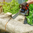 Vinicio Tree Service - Tree Service