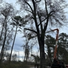 J P Abner Stump Grinding gallery