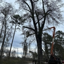 J P Abner Stump Grinding - Tree Service
