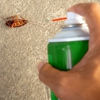 AmeriPest Solutions gallery