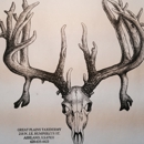 Great Plains Taxidermy - Taxidermists-Equipment & Supplies