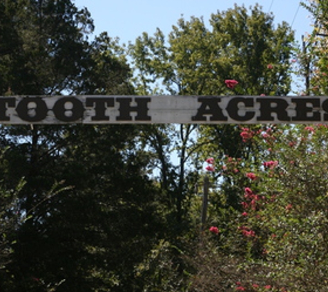 Steven B. Pascoe, DDS ~ Tooth Acres - Conway, AR