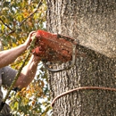Gillaspie Hauling - Tree Service