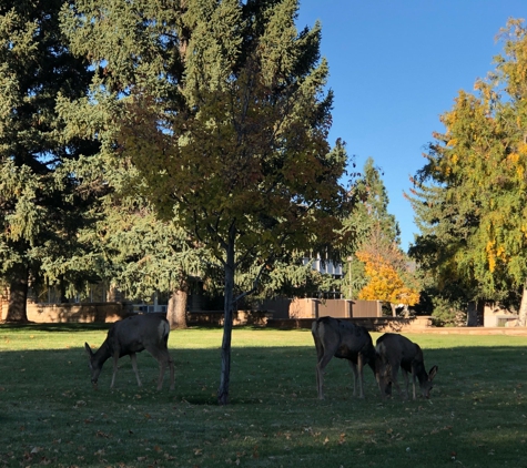 Fort Lewis College - Durango, CO