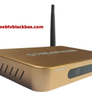 WebTV BlackBox - Internet Products & Services
