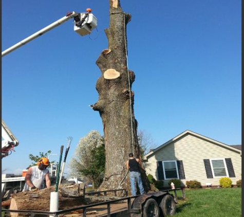 Hughes Tree Service - Murfreesboro, TN