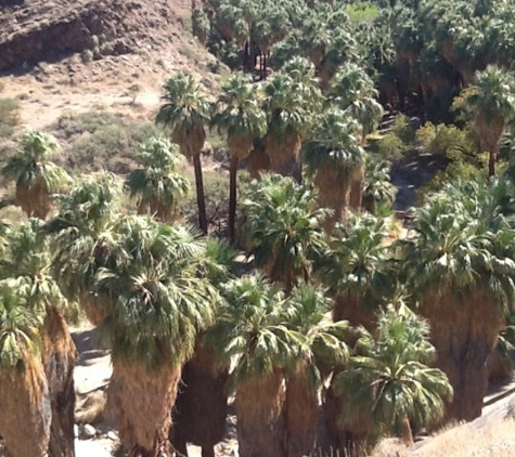 Indian Canyons - Palm Springs, CA