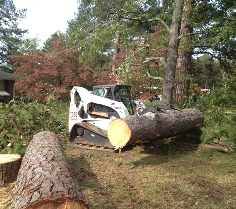 Kevin's Tree Service