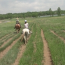 Chatfield Stables - Pony Rides