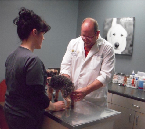 Forest HIll Animal Hospital - Germantown, TN