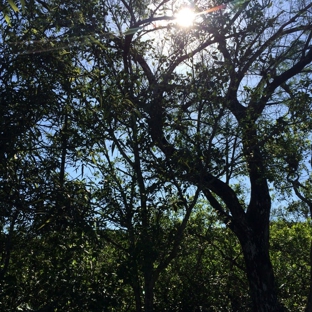 Secret Woods Nature Center - Fort Lauderdale, FL