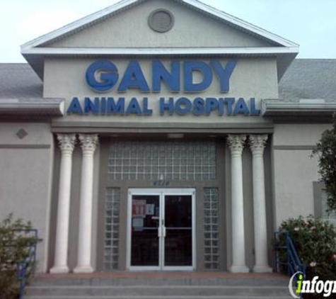 Gandy Animal Hospital, Inc. - Tampa, FL