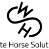 White Horse Solutions gallery