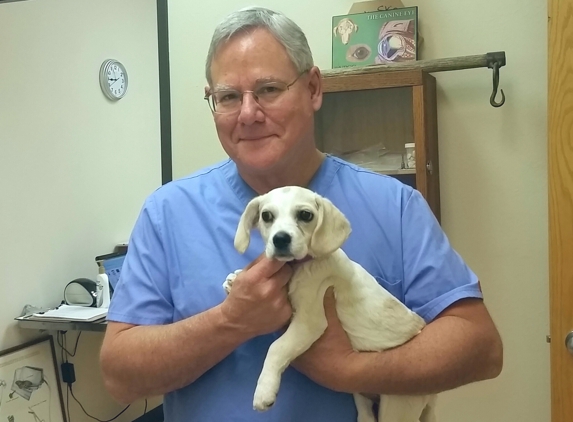 Valley Veterinary Hospital - Denver, CO