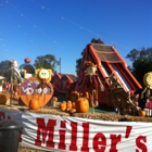 Stu Miller's Pumpkin Patch