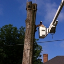 Diversified Trees Inc - Tree Service