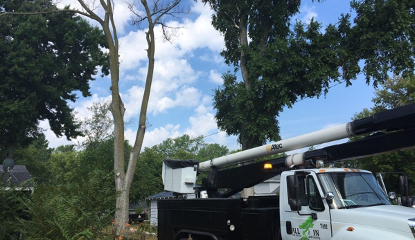 All in tree service and land clearing - Port Huron, MI