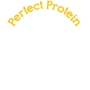 CRKT - Perfect Protein