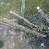 Kreft Tree Service gallery