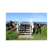 Gallery Image Number 6