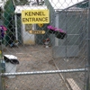 Paran Tree Kennels gallery