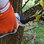 Langford Tree Service