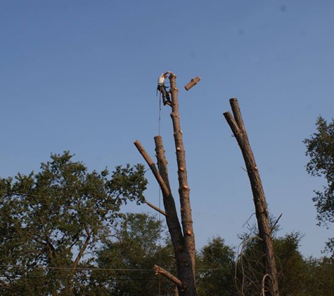 Nate Foster Tree Care - Auburn, CA