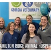 Hamilton Ridge Animal Hospital gallery