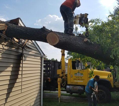 Big Timber Tree Service LLC - Marlton, NJ. We handle all insurance claims and 24-hour emergency storm service