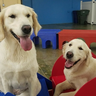 Flying High Pet Resort - Camarillo, CA. Barkely and Nordy