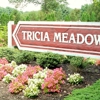 Tricia Meadows gallery