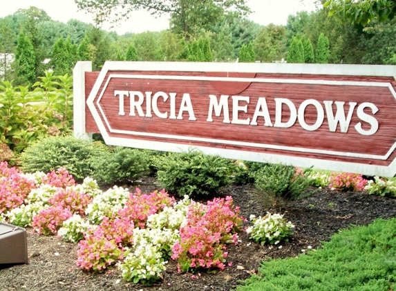 Tricia Meadows - Mount Laurel, NJ