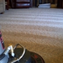 Carpet Tech Steam Carpet Cleaning