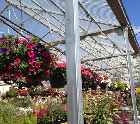 Gray's Garden Center - Springfield, OR