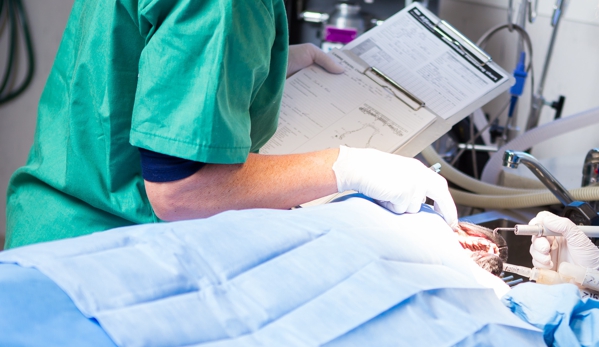 Warwick Veterinary Clinic - Warwick, QLD